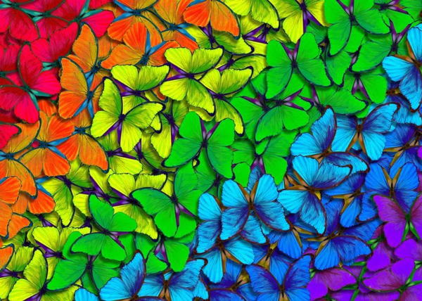 Enjoy 1961 - Rainbow Butterflies - 1000 db-os puzzle Enjoy 1961 - Rainbow Butterflies - 1000 db-os puzzle