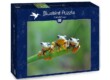 Bluebird puzzle 70294 - Friendly Frogs - 500 db-os puzzle