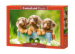 Castorland 500 db-os puzzle - Aranyos tacskók (B-53605)
