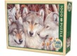 Cobble Hill 51791 - Wolf Crowd - 1000 db-os puzzle