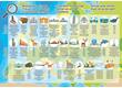 Educa 18607-  Európa térképe - 150 db-os puzzle
