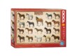 EuroGraphics 6000-0078 - Horses - 1000 db-os puzzle