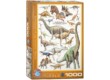 EuroGraphics 6000-0099 - Dinosaurs of the Jurassic - 1000 db-os puzzle