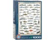 EuroGraphics 6000-0312 - Freshwater Fish - 1000 db-os puzzle