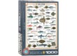 EuroGraphics 6000-0313 - Sea Fish - 1000 db-os puzzle