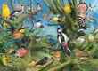 EuroGraphics 6000-0967 - Garden Birds, John Francis - 1000 db-os puzzle