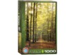 EuroGraphics 6000-3846 - Forest Path - 1000 db-os puzzle