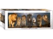 EuroGraphics 6010-0297 - Panoráma puzzle - Big Cats  - 1000 db-os puzzle