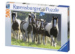 Ravensburger 14181 - Családi séta - 500 db-os puzzle