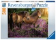 Ravensburger 14813 - Pónik virágok között - 500 db-os puzzle