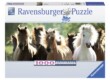 Ravensburger 15091 - Panoráma puzzle - Vadlovak - 1000 db-os puzzle