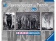 Ravensburger 1000-db-os puzzle - Párduc, elefánt, oroszlán (16729)