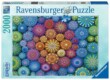 Ravensburger 17134 Színpompás tengerisünök - 2000 db-os puzzle