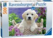 Ravensburger 14829 - Golden retriever - 500 db-os puzzle
