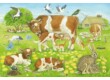 Schmidt 56222 - Animal Family - 3 x 48 db-os puzzle