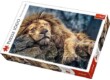 Trefl 10447 - Alvó oroszlán - 1000 db-os puzzle