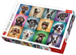 Trefl 10462 -  Vicces kutya portrék - 1000 db-os puzzle