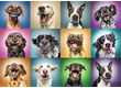 Trefl 10462 -  Vicces kutya portrék - 1000 db-os puzzle