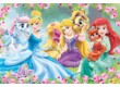 Trefl 14223 - Disney Princess kedvencek - 24 db-os Maxi puzzle