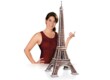 Wrebbit 02009 - Eiffel-torony - 816 db-os 3D puzzle