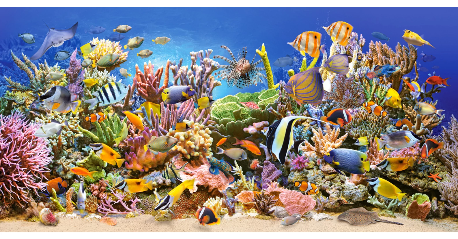 Castorland C-400089 - Víz alatti élet - 4000 db-os puzzle