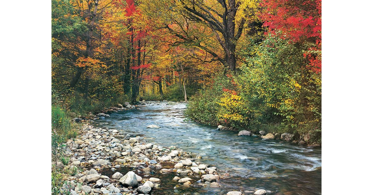 EuroGraphics 6000-2132 - Forest Stream - 1000 db-os puzzle - Puzzle 1000 db