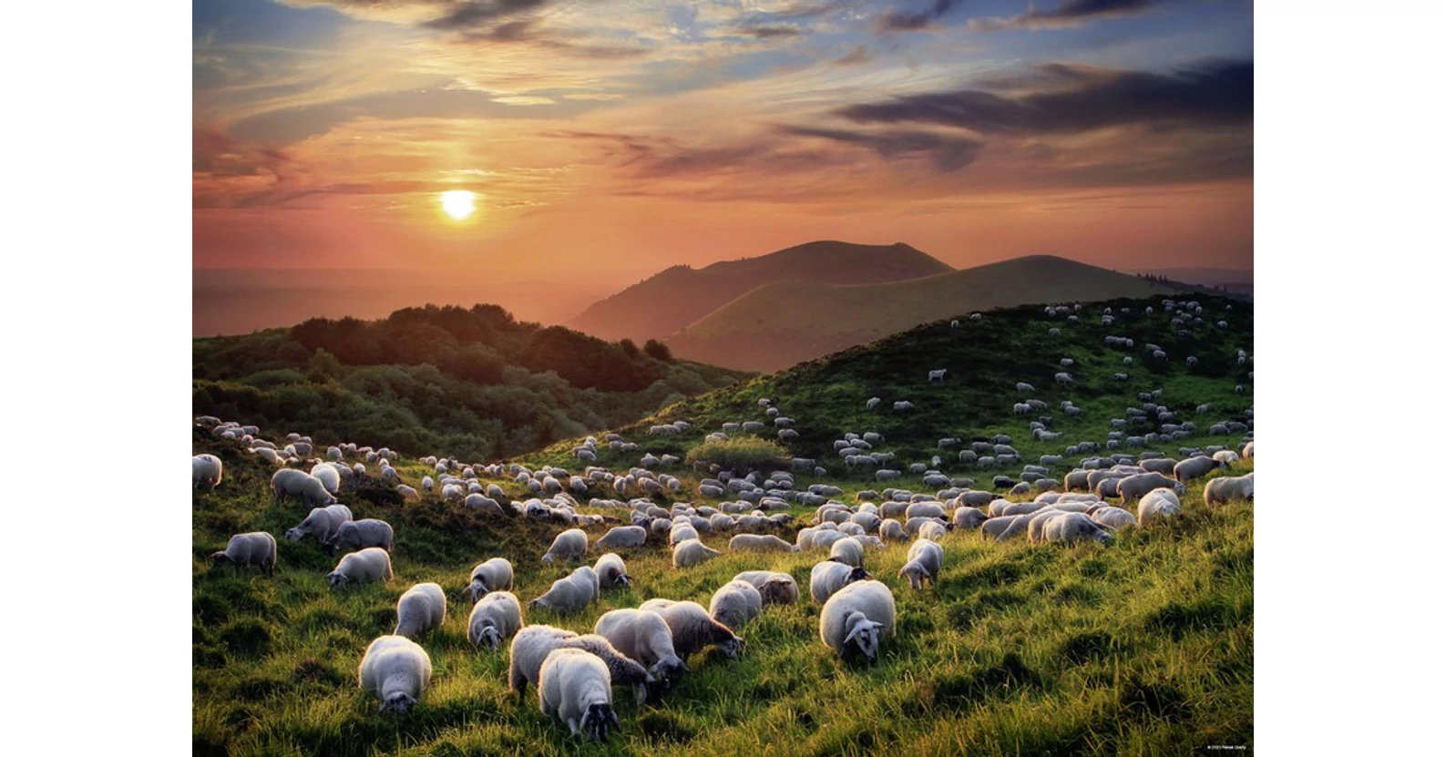 Heye Heye 29977 - Sheep and Volcanoes - 1000 db-os puzzle