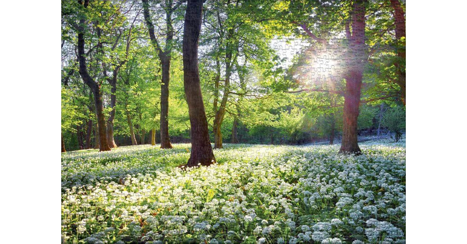 Spring Olmer Ulmer 2743 - Spring Sun - 1000 db-os puzzle - Puzzle 1000 db