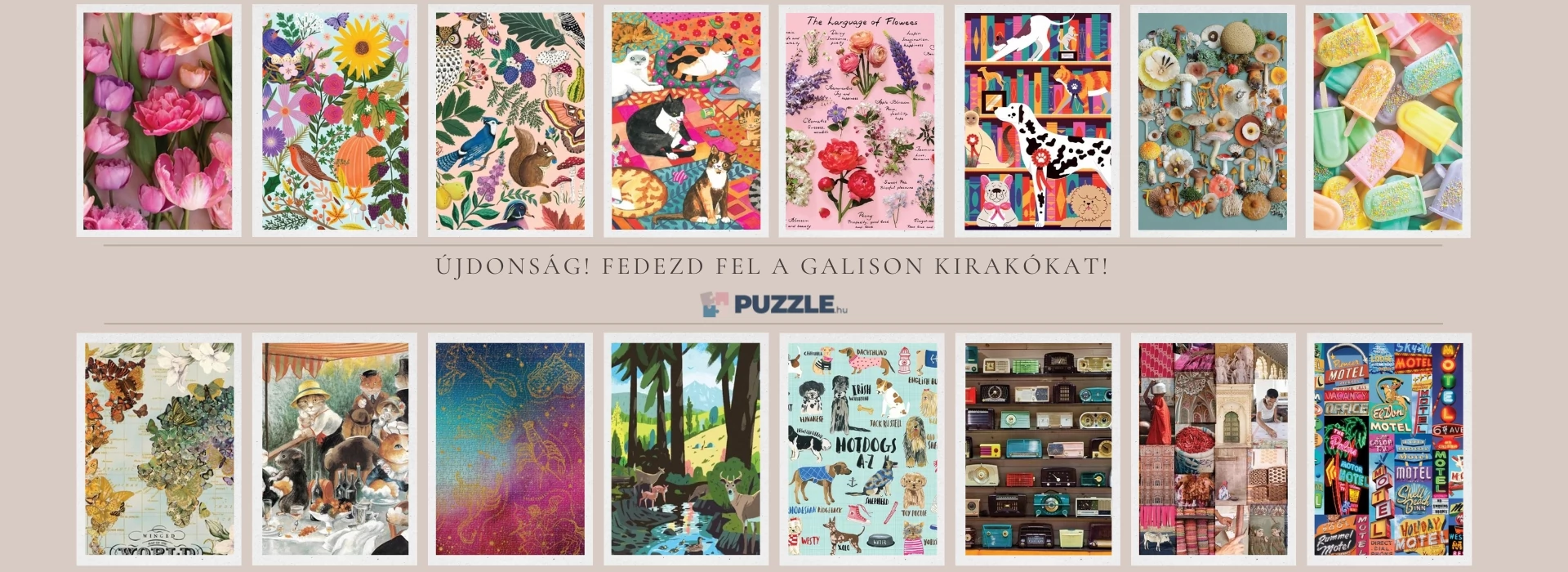 Galison puzzle