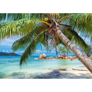 Alipson 50022 - Tropical Beach - 1000 db-os puzzle