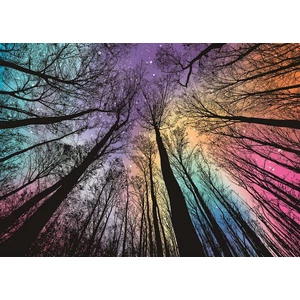 Bboldin Z-099 - Colorful Magic Forest - 1000 db-os puzzle