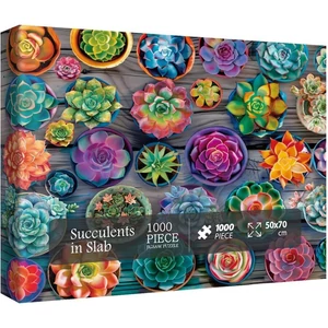 Bboldin Z-1032 - Succulents in Slab - 1000 db-os puzzle