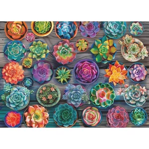 Bboldin Z-1032 - Succulents in Slab - 1000 db-os puzzle
