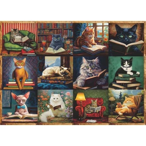 Bboldin Z-332 - Cats and Books - 1000 db-os puzzle