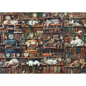 Bboldin Z-807 - Bookshelf Cat - 1000 db-os puzzle