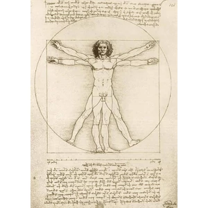 Bluebird 60211 - Leonardo Da Vinci - The Vitruvian Man 1490 - 1000 db-os Art by puzzle