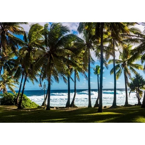 Bluebird 90477 - Plage et Palmiers, La Réunion, France - 1000 db-os puzzle