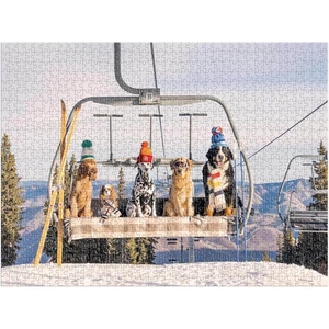 Galison 83807 - Aspen, Gray Malin - 1000 db-os puzzle könyv alakú dobozban