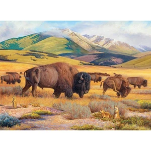 EuroGraphics 6000-5874 - Roaming the Plains by Hayden Lambson   - 1000 db-os puzzle