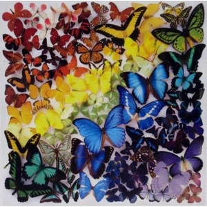 Galison 62567 - Rainbow Butterflies - 500 db-os puzzle