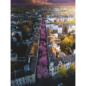Ravensburger 12000730 - Virágzó Bonn - 1500 db-os puzzle