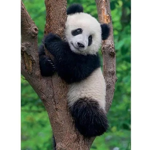 Ravensburger 12000241 - Panda és koala - 2 x 500 db-os puzzle