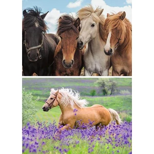 Ravensburger 05148 - Lovak - 2 x 24 db-os puzzle