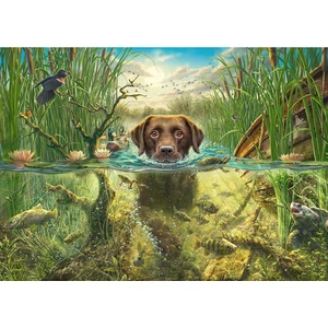 Schmidt 58572 - Dog's Life - Brown Labrador in the Cool Water - 1000 db-os puzzle