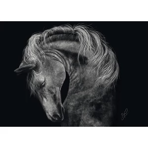 Schmidt 58543 - Horse, In the Sign of Strength, Ashley Rader - 1000 db-os puzzle