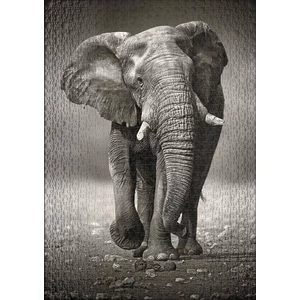Ulmer 0275 - The Wanderer - 1000 db-os puzzle
