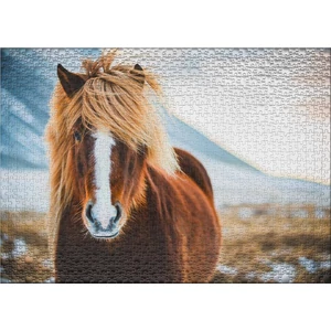 Ulmer 0640 - Miss Winterhair - 1000 db-os puzzle