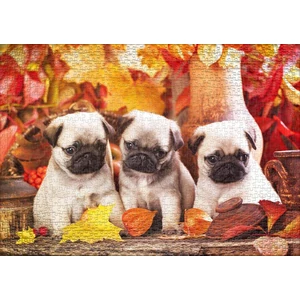 Ulmer 0893 - Puppy Happiness - 1000 db-os puzzle