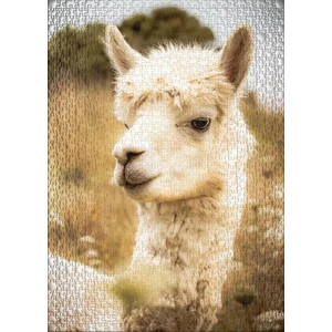 Ulmer 2637 - White Alpaca - 1000 db-os puzzle