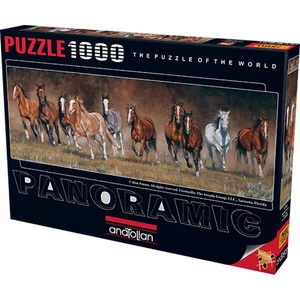 anatolian-puzzle-free-time-1000-1010-2